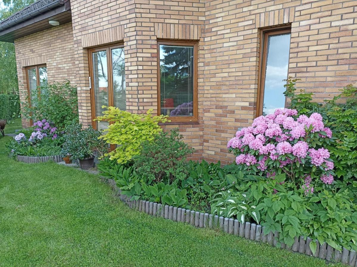 Dom Turysty Na Skarpie Apartman Malbork Kültér fotó